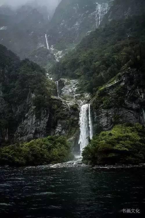 动物帮帮忙保卫家园